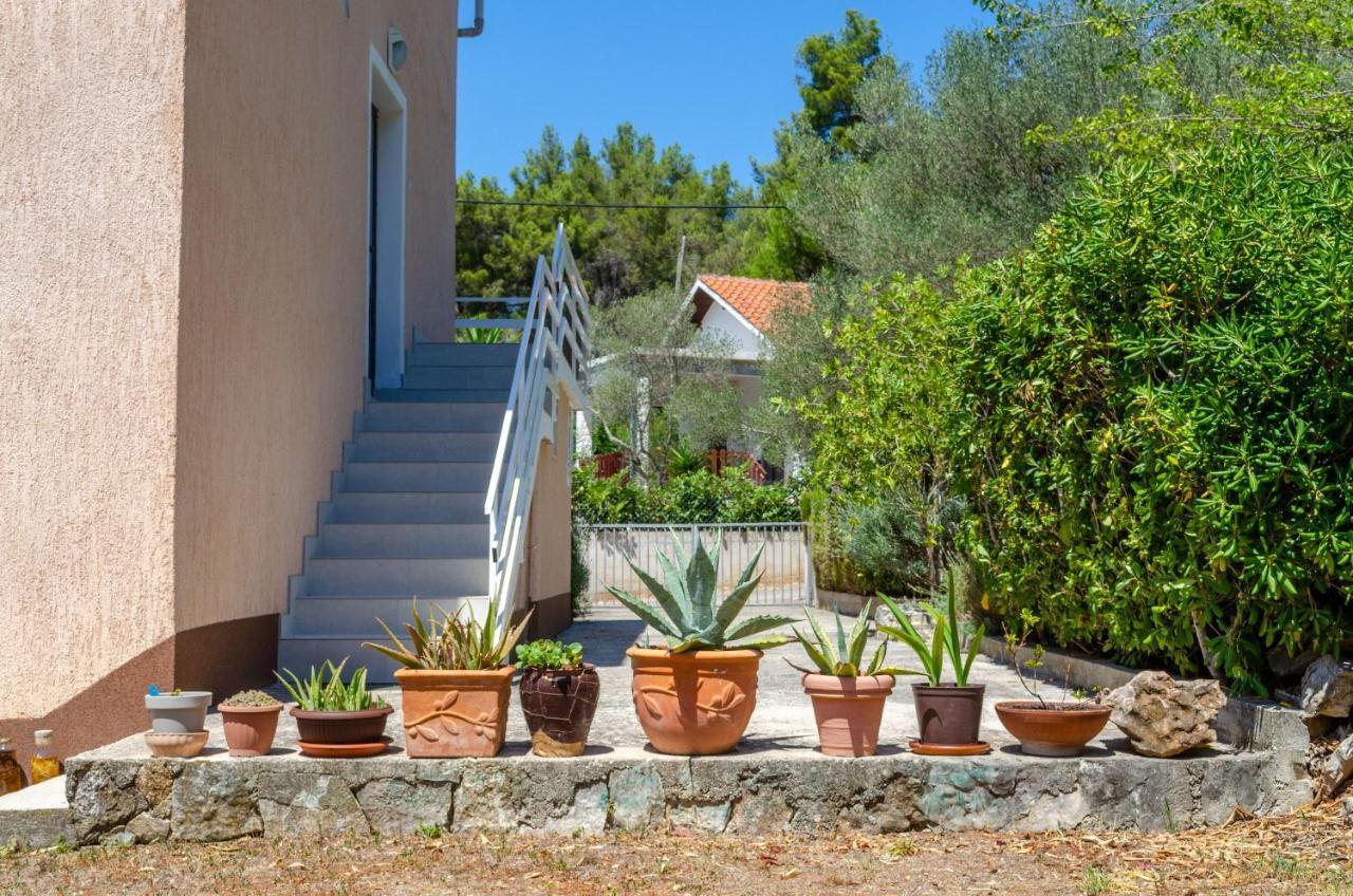 Apartment Tanja Vela Luka Exteriér fotografie
