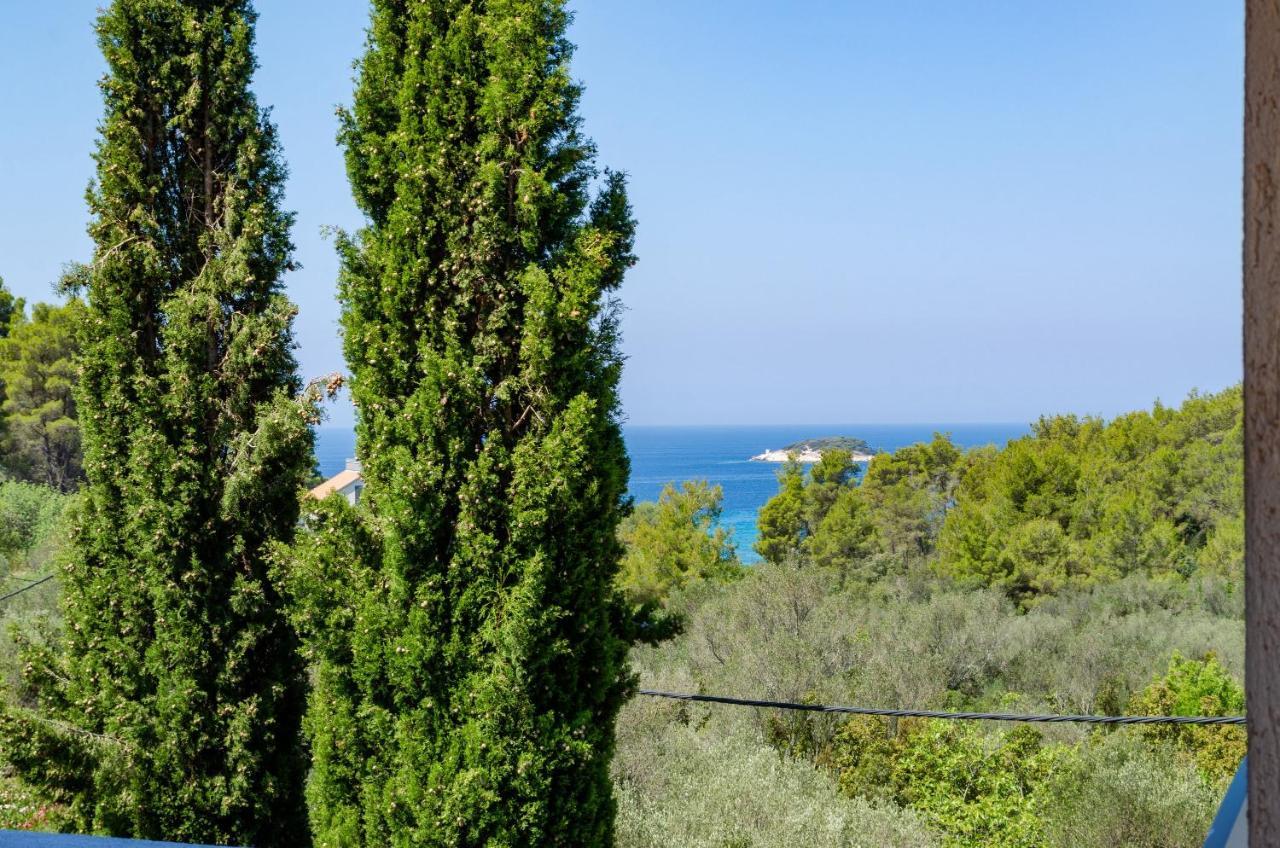 Apartment Tanja Vela Luka Exteriér fotografie