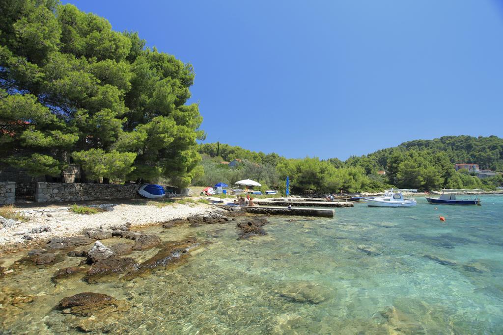 Apartment Tanja Vela Luka Pokoj fotografie
