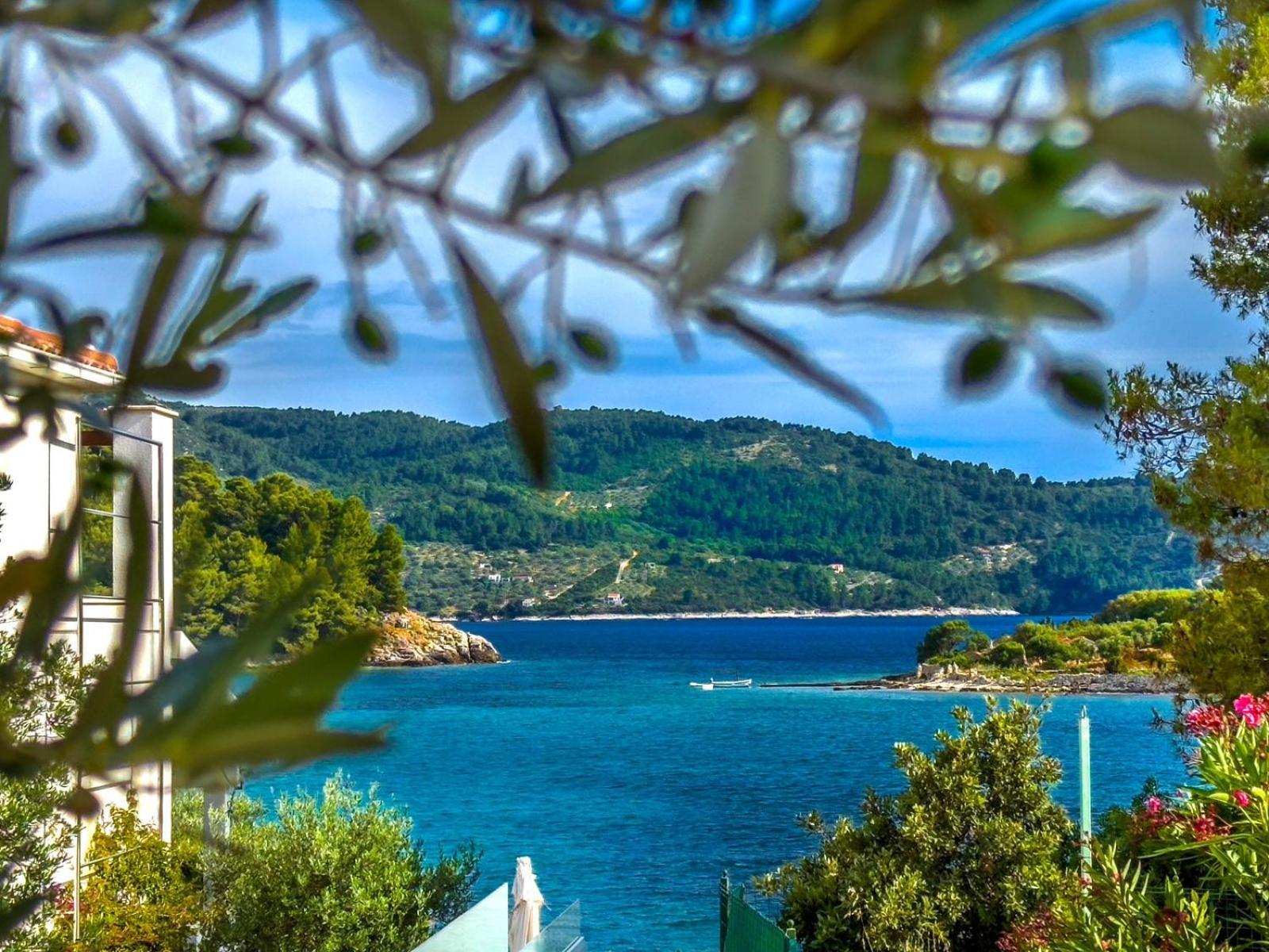 Apartment Tanja Vela Luka Exteriér fotografie