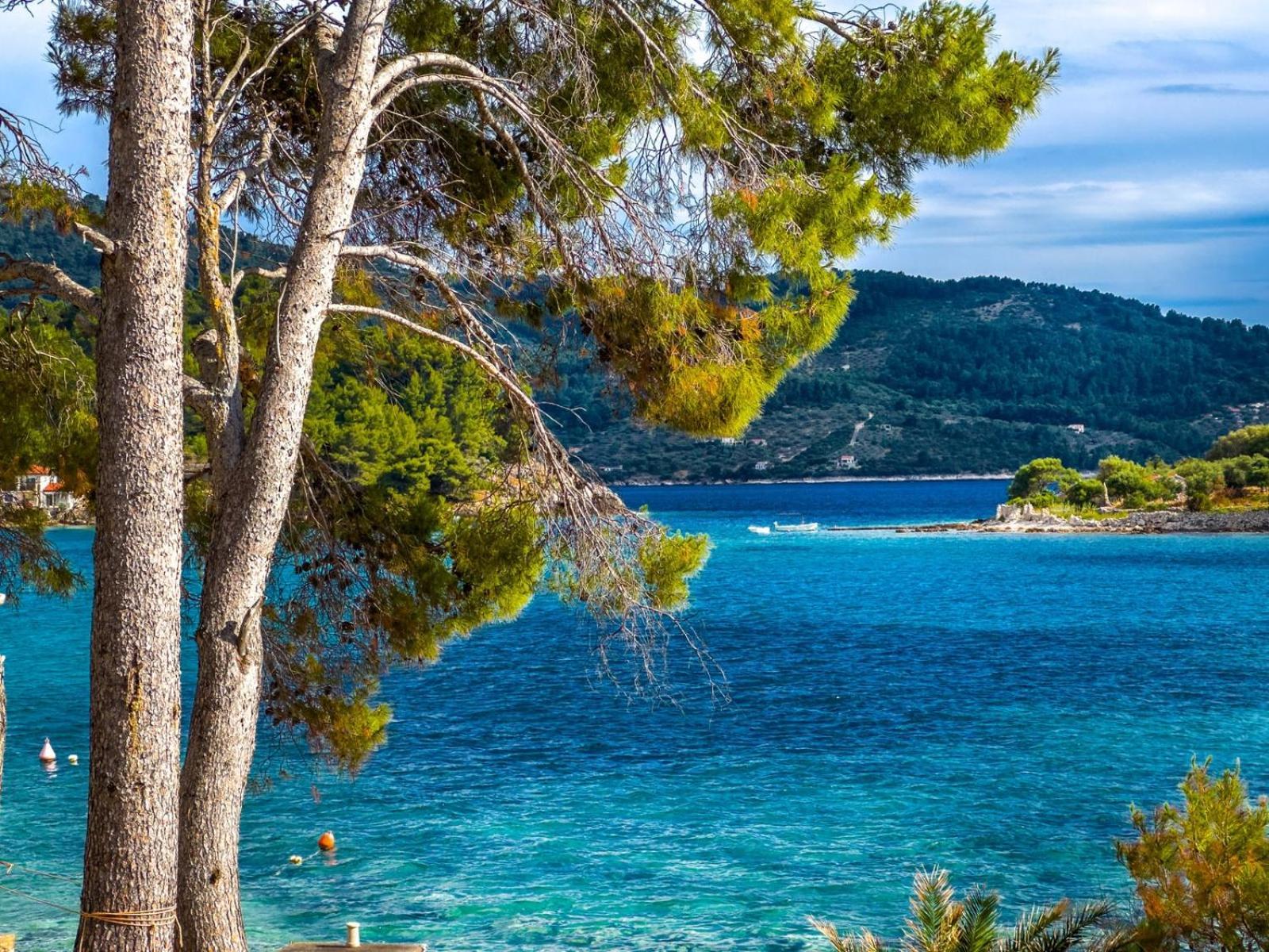 Apartment Tanja Vela Luka Exteriér fotografie