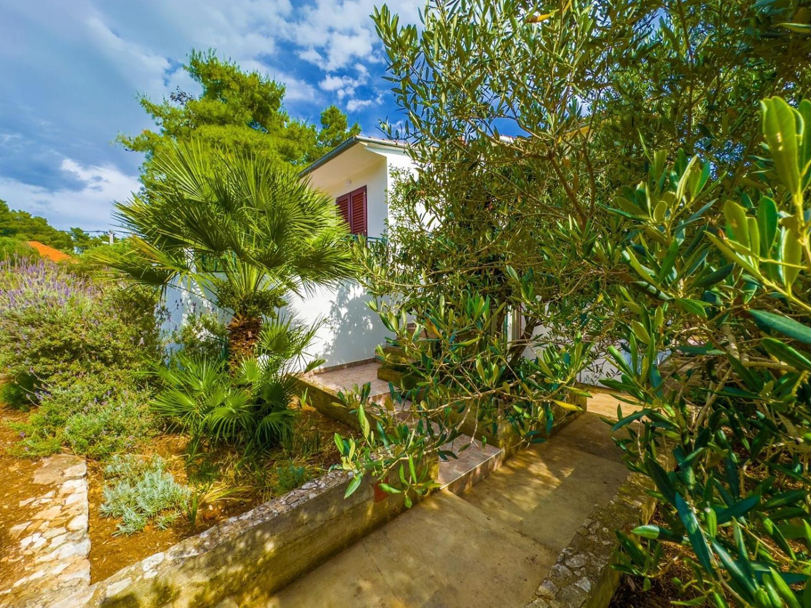 Apartment Tanja Vela Luka Exteriér fotografie